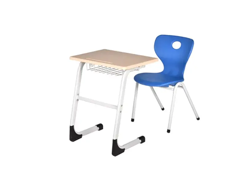 Aslina Okul Sırası