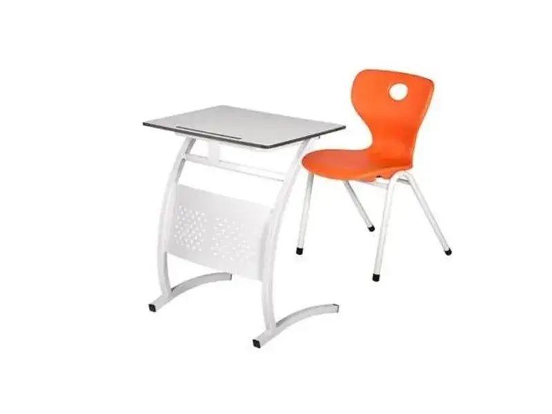 Aylina Okul Sırası